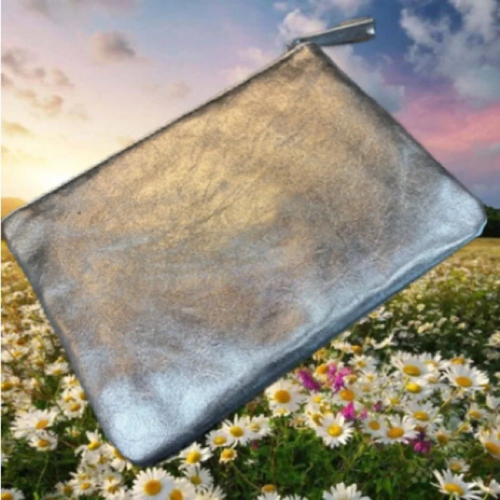 Silver Cosmetic Bag Baubles and Things. NWT